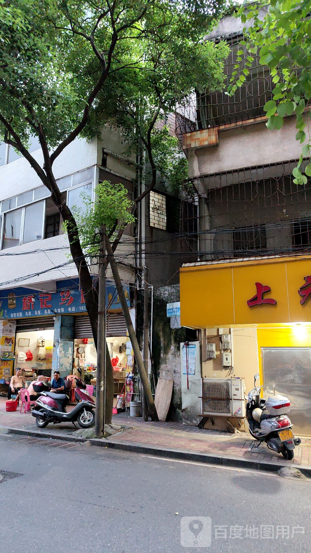 桥记鸟店