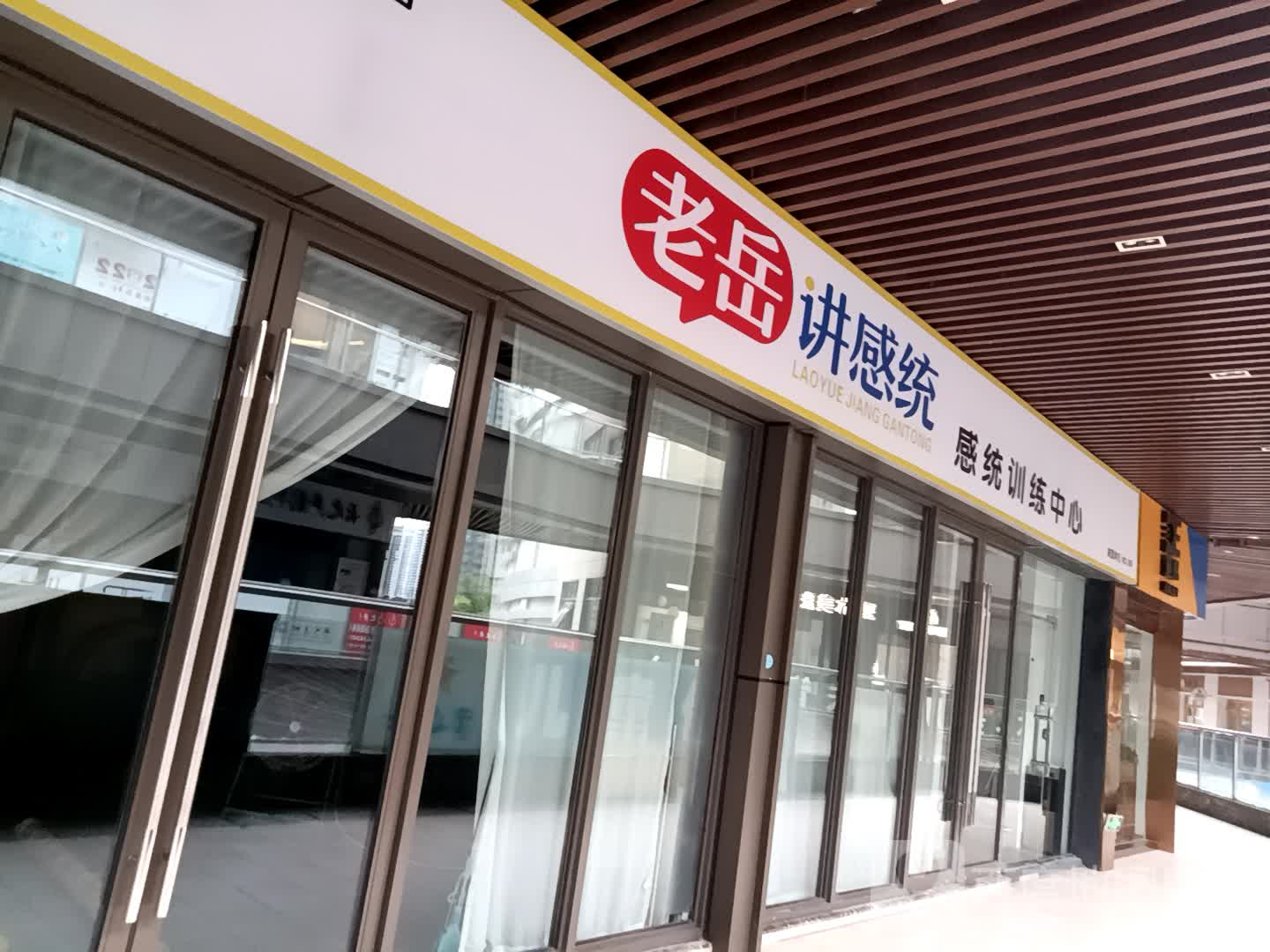 老岳讲感统感统训练中新(淮南新城吾悦广场店)