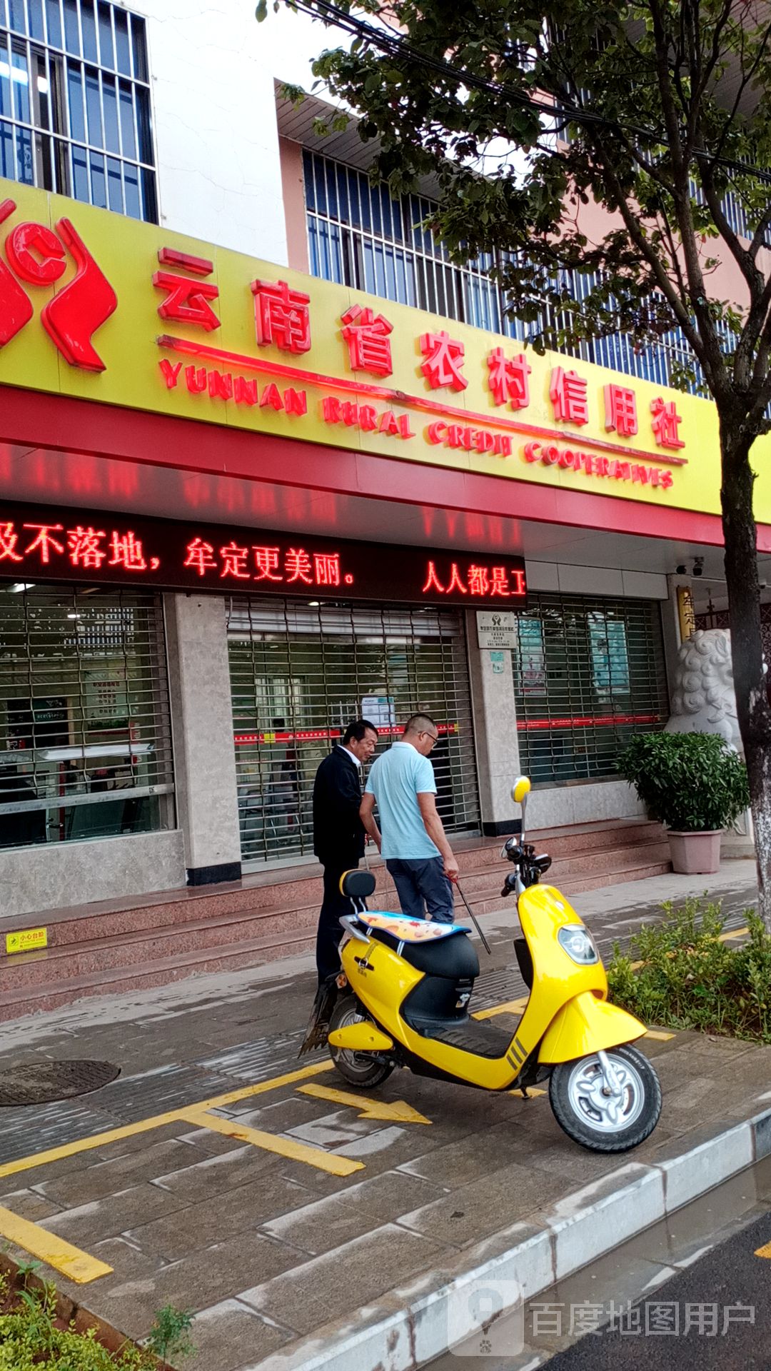 牟定县农村信用社(共和信用社)