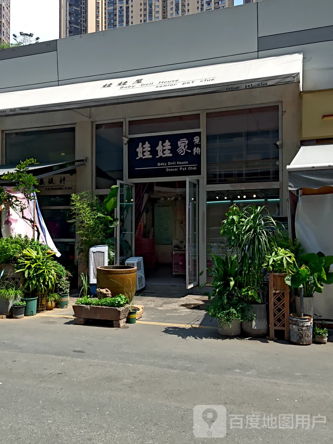娃娃家宠物(攀枝花东区万达广场店)