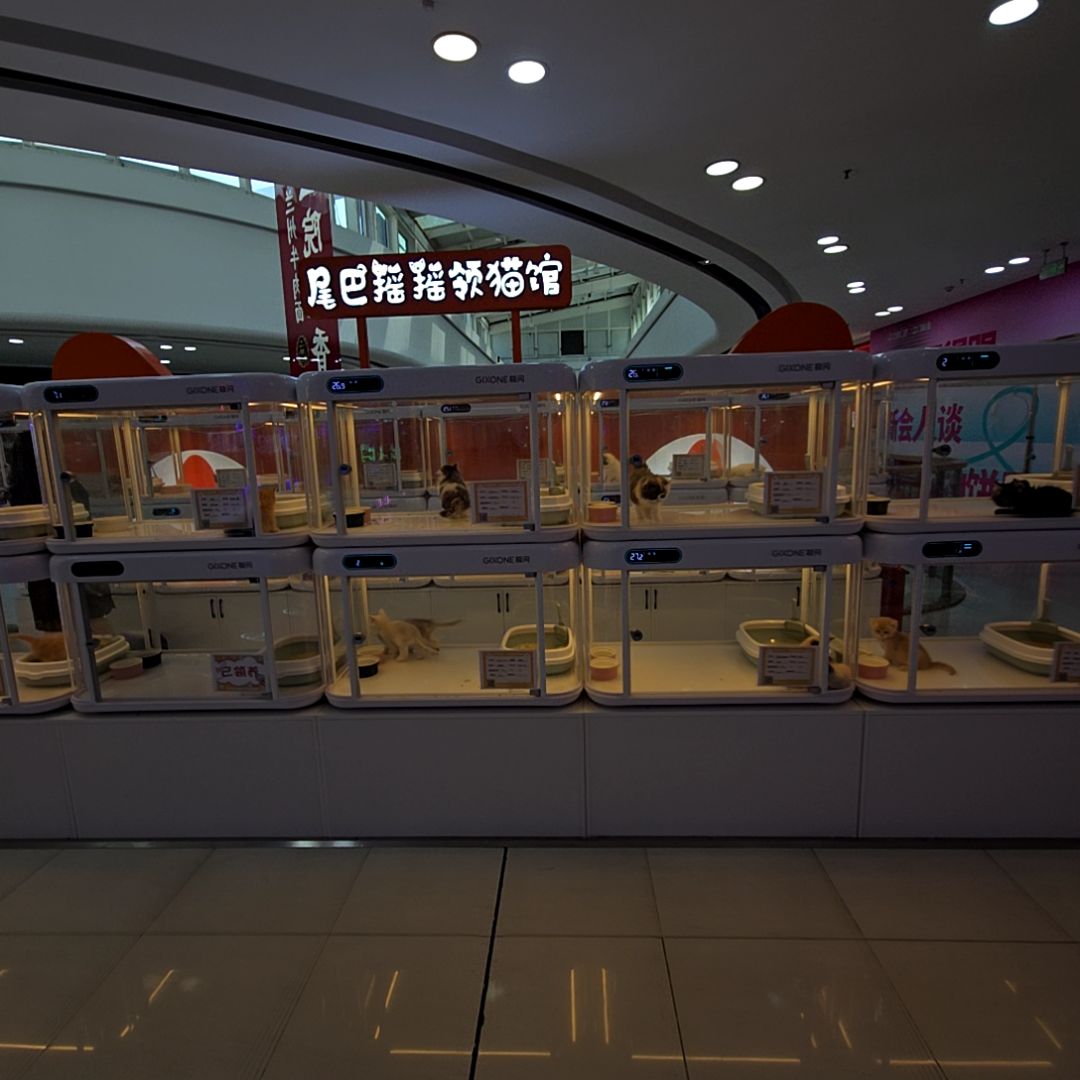 尾巴摇摇名猫馆(万达广场江门新会店)