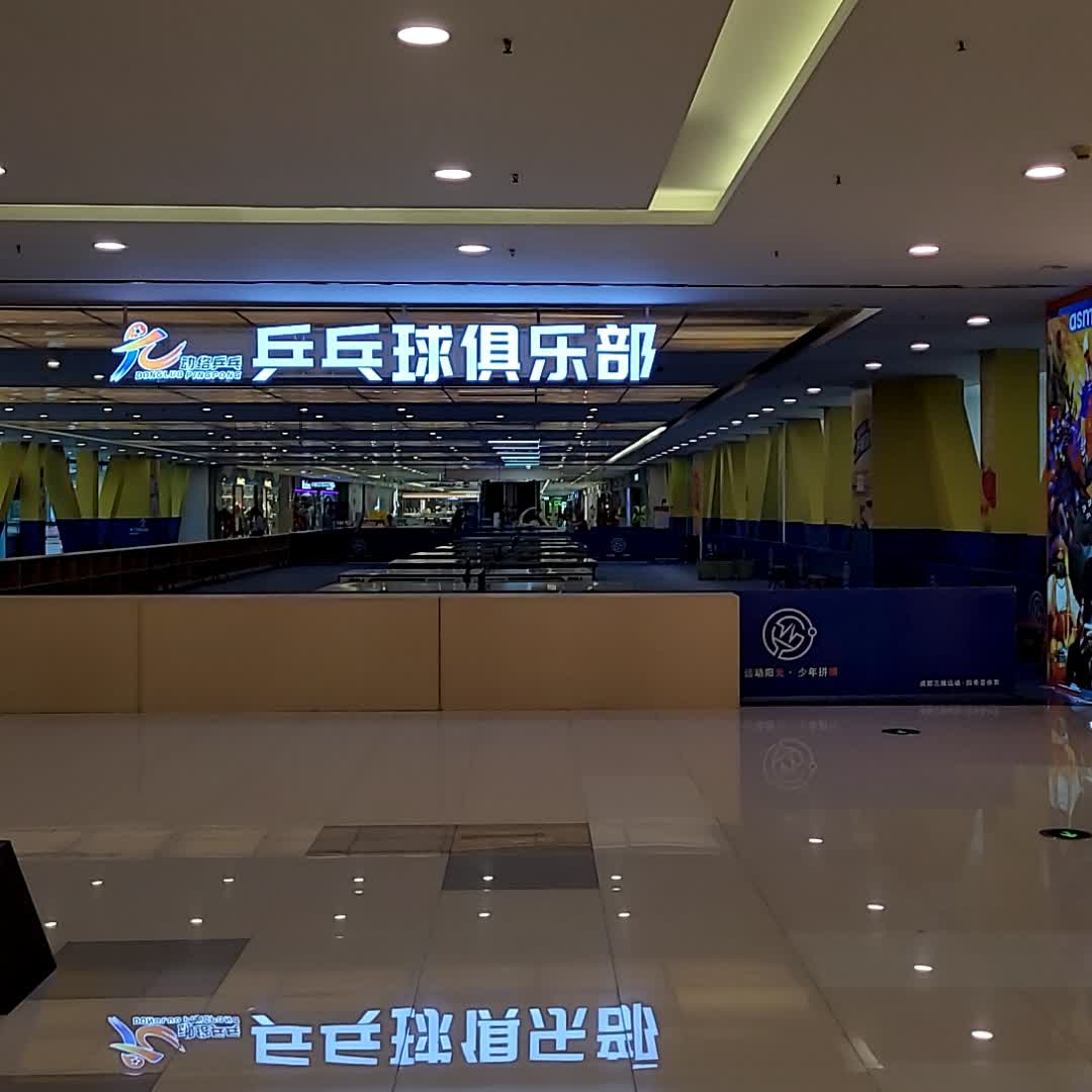 元动络兵乓(万达广场成都锦城店)