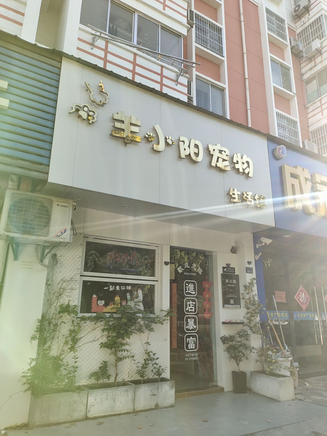 羊小阳宠物生活馆(万汇广场店)