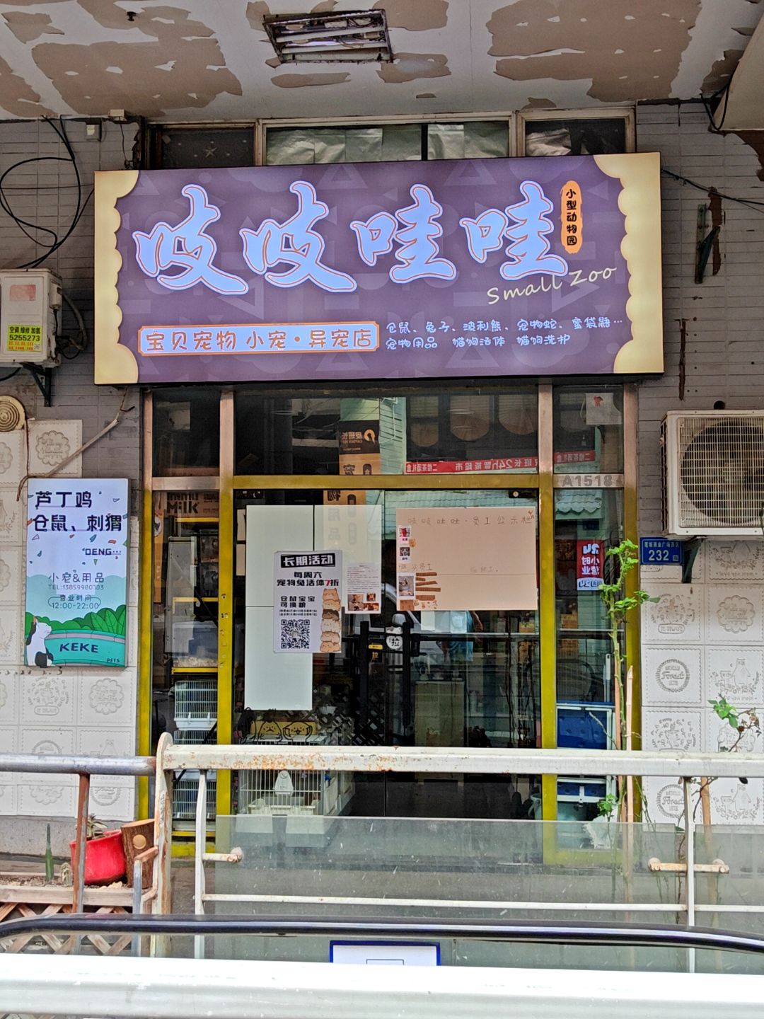 吱吱哇哇宝贝宠物小宠·异宠店(明发商业广场店)