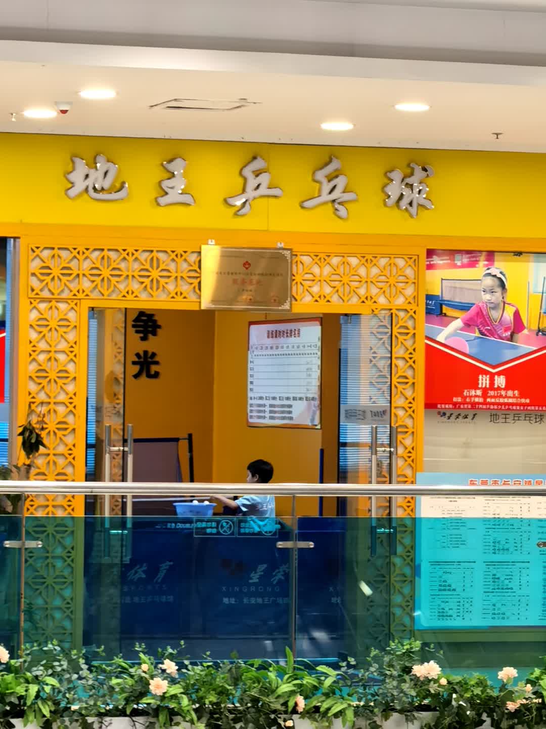 星荣体育地王乒乓球