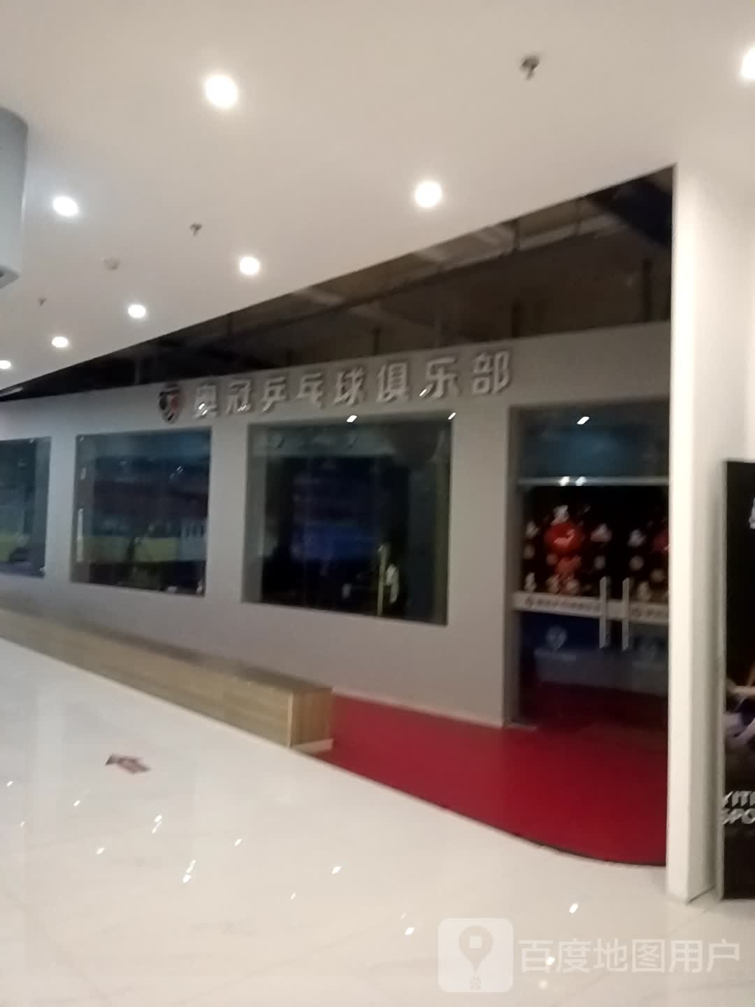 奥冠乒乓球俱乐部(伟星银湖星悦广场店)