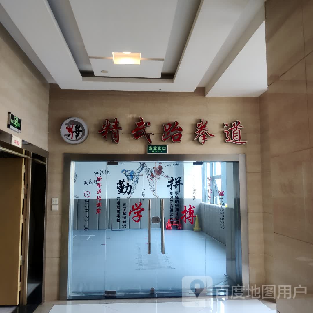 武鸭跆拳道