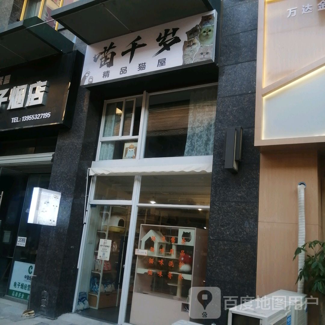 喵千岁精品猫屋(芜湖镜湖万达广场店)