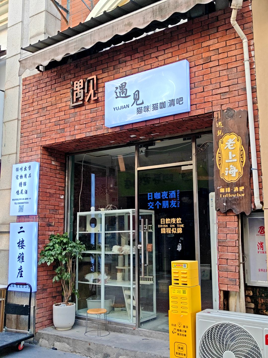 遇见猫咪猫咖清吧